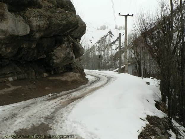 sadaf (512).jpg